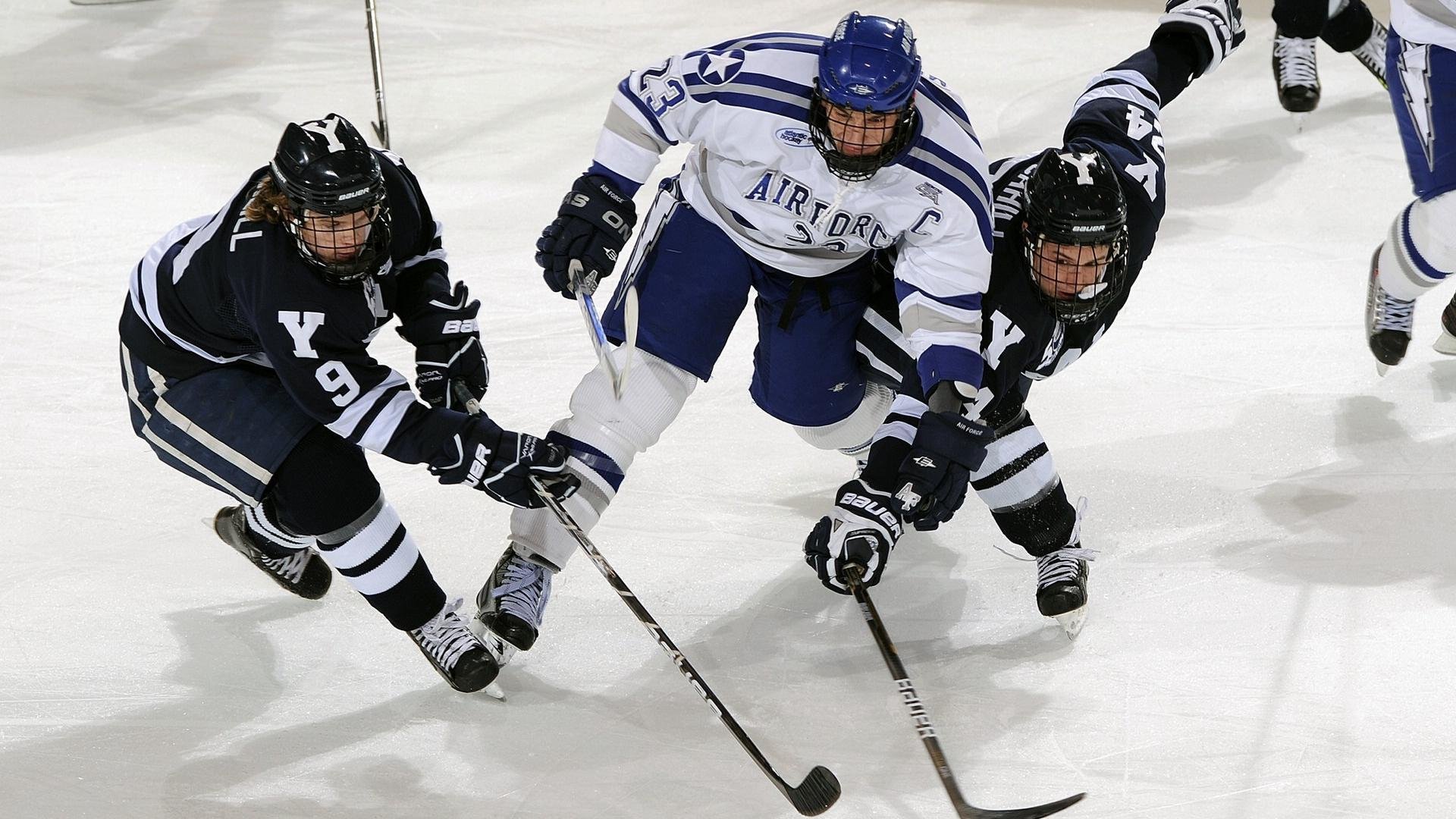 数字体育内容创作者发展路径与行业标准研究,数字体育项目